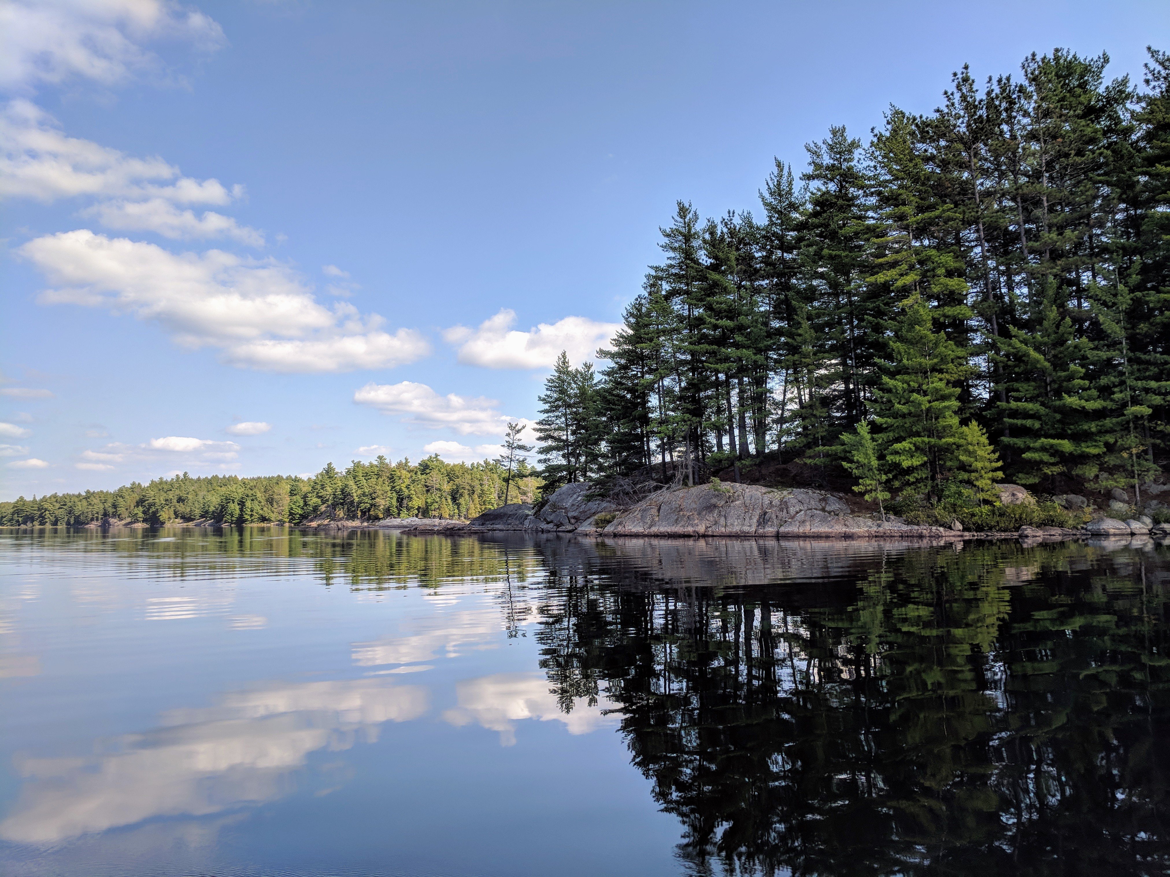 lake with forest